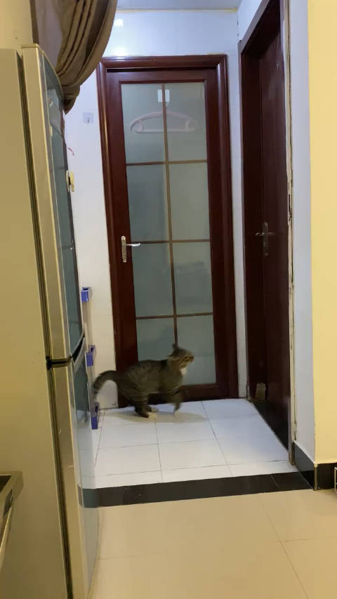 微博苹果手机版苹果手机微博官网-第2张图片-太平洋在线下载 微博苹果手机版苹果手机微博官网-第2张图片-太平洋在线下载