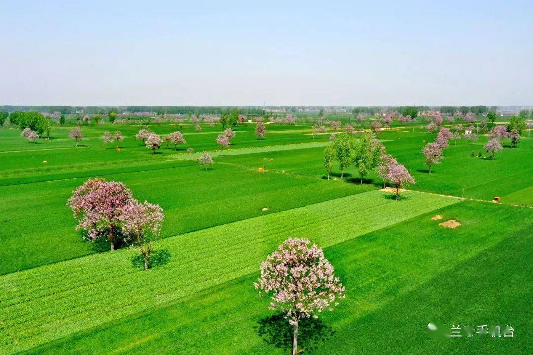 兰考手机台客户端兰考电话区号是多少