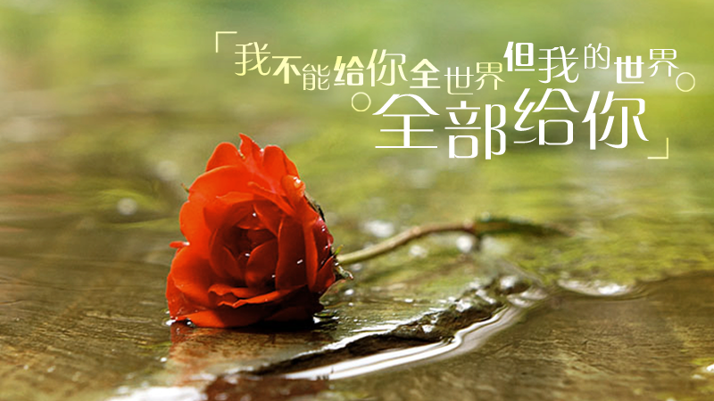 qq说说助手安卓版空间说说恢复助手下载-第2张图片-太平洋在线下载 qq说说助手安卓版空间说说恢复助手下载-第2张图片-太平洋在线下载