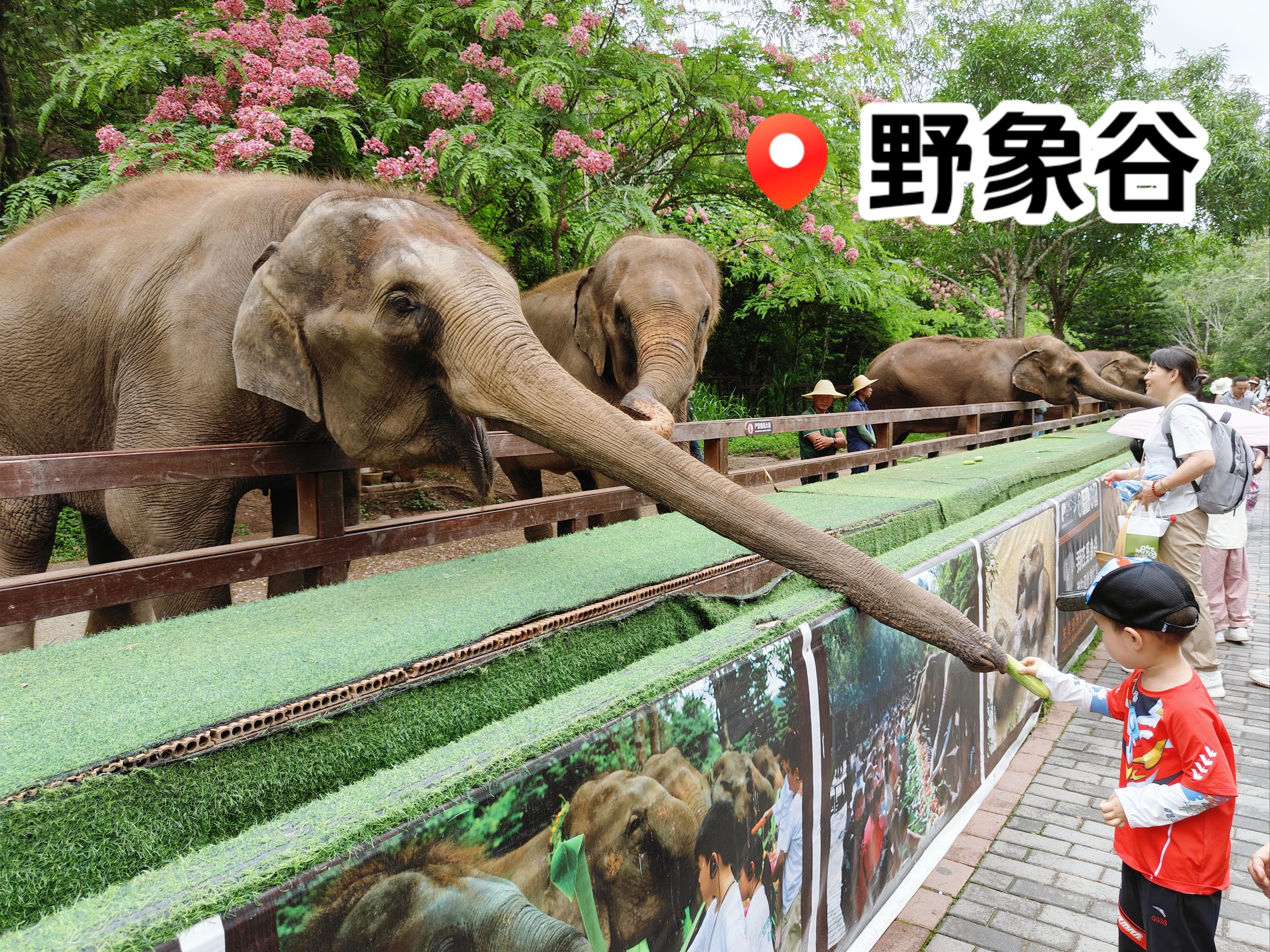 大象国际安卓版大象国际官网登录-第2张图片-太平洋在线下载